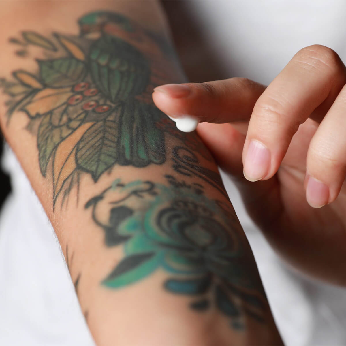 silverbird-tattoo-newquay-tattoo-balm silverbird-tattoo-newquay-tattoo-balm